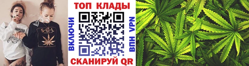 Конопля Грозный
