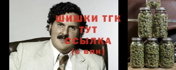 ПСИЛОЦИБИНОВЫЕ ГРИБЫ Майский