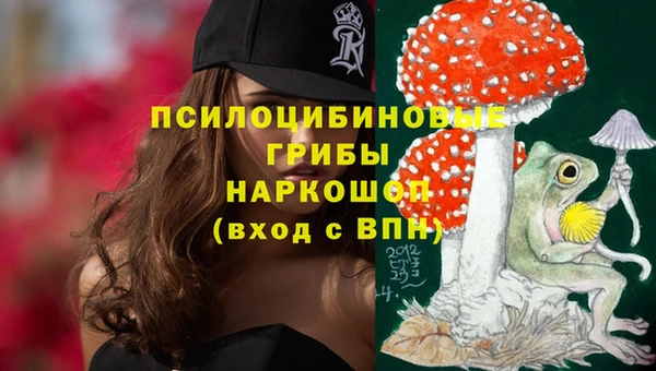 ПСИЛОЦИБИНОВЫЕ ГРИБЫ Майский