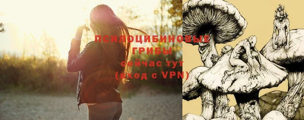 прущая мука Магас