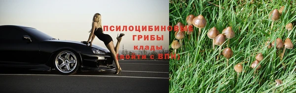 прущая мука Магас