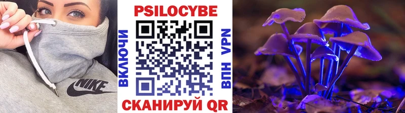 OMG ссылки  Грозный  Псилоцибиновые грибы мухоморы  где купить наркоту 