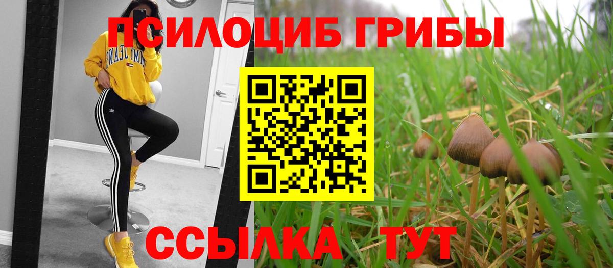Псилоцибиновые грибы прущие грибы Грозный