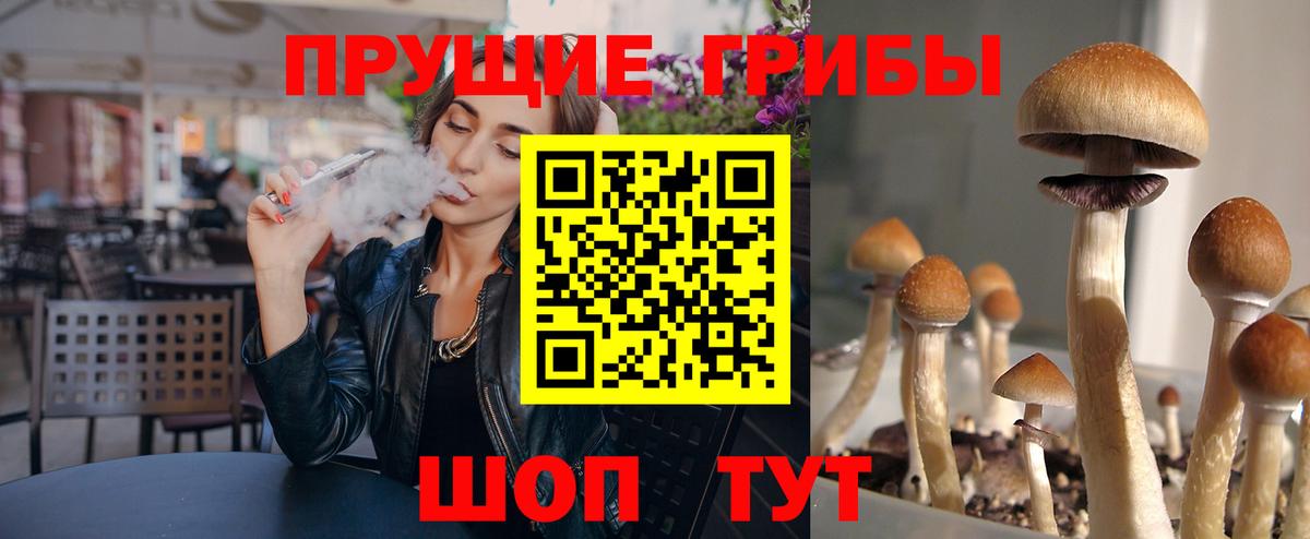 Codein  Вход с VPN  Cocaine  Марки  Альфа ПВП  Марихуана  ГАШИШ  Гарик  Грозный  Мяу-Мяу 